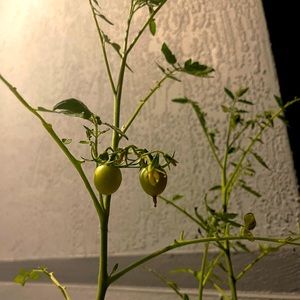 SALE, please come take this stuff off my hands! 30% off 2 or more items!! SALE!!